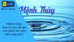 mệnh thủy hợp số nào