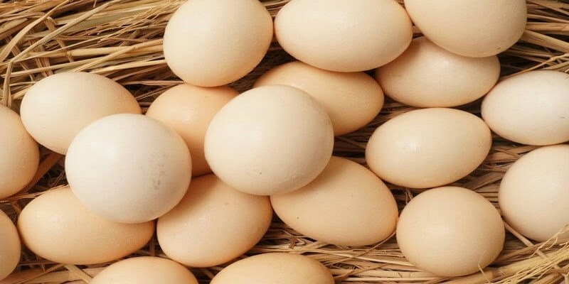 Mỗi giấc chiêm bao thấy trứng gà đều mang lại ý nghĩa và con số lô đề khác nhau